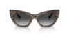 Picture of Dolce & Gabbana Sunglasses DG4417