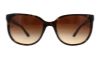 Picture of Tory Burch Sunglasses TY7106