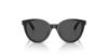 Picture of Versace Sunglasses VK4427U