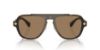 Picture of Versace Sunglasses VE2199