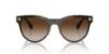Picture of Versace Sunglasses VE2198