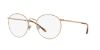 Picture of Polo Eyeglasses PH1179