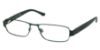 Picture of Polo Eyeglasses PH1133