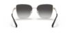 Picture of Michael Kors Sunglasses MK1108