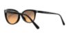 Picture of Michael Kors Sunglasses MK2045F