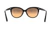Picture of Michael Kors Sunglasses MK2045F