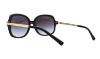 Picture of Michael Kors Sunglasses MK2024 Adrianna II