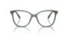 Picture of Swarovski Eyeglasses SK2020
