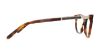 Picture of Swarovski Eyeglasses SK5211