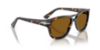 Picture of Persol Sunglasses PO3366S