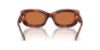 Picture of Coach Sunglasses HC8390U
