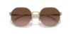 Picture of Coach Sunglasses HC7147