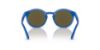 Picture of Dolce & Gabbana Sunglasses DX6002