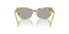 Picture of Dolce & Gabbana Sunglasses DX4427