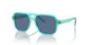 Picture of Dolce & Gabbana Sunglasses DX4003