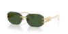 Picture of Versace Sunglasses VE2274