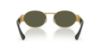 Picture of Versace Sunglasses VE2264