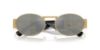 Picture of Versace Sunglasses VE2264