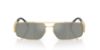 Picture of Versace Sunglasses VE2257