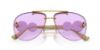 Picture of Versace Sunglasses VE2250