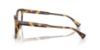 Picture of Ralph Eyeglasses RA7174U