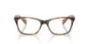 Picture of Ralph Eyeglasses RA7071