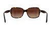 Picture of Ralph Sunglasses RA5216