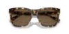 Picture of Ralph Lauren Sunglasses RL8212