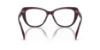 Picture of Ralph Lauren Eyeglasses RL6232U