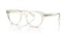 Picture of Polo Eyeglasses PH2262