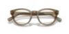 Picture of Polo Eyeglasses PH2262