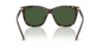 Picture of Polo Sunglasses PH4201U