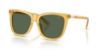 Picture of Polo Sunglasses PH4201U