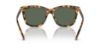 Picture of Polo Sunglasses PH4201U