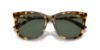 Picture of Polo Sunglasses PH4201U