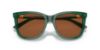 Picture of Polo Sunglasses PH4201U
