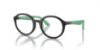 Picture of Emporio Armani Eyeglasses EK3005F