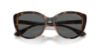 Picture of Armani Exchange Sunglasses AX4111SU