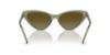 Picture of Michael Kors Sunglasses MK2195U