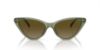 Picture of Michael Kors Sunglasses MK2195U