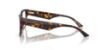 Picture of Jimmy Choo Eyeglasses JC3022H