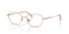 Picture of Jimmy Choo Eyeglasses JC2009D
