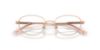 Picture of Jimmy Choo Eyeglasses JC2009D