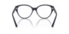 Picture of Jimmy Choo Eyeglasses JC3009