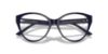 Picture of Jimmy Choo Eyeglasses JC3009