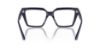 Picture of Jimmy Choo Eyeglasses JC3017U