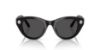 Picture of Swarovski Sunglasses SK6025F