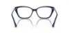Picture of Swarovski Eyeglasses SK2011