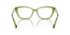 Picture of Swarovski Eyeglasses SK2011