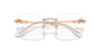 Picture of Swarovski Eyeglasses SK1014
